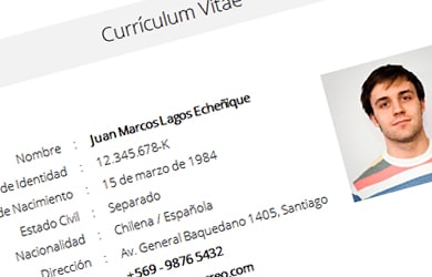 Descargar Curriculum Vitae Chileno Gratis Essay Websites