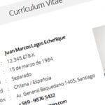 Nuevo! Otro formato de curriculum vitae en Word para descargar