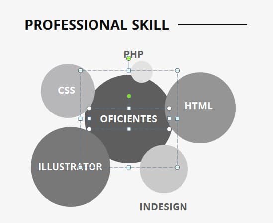 conocimientos curriculum vitae para completar